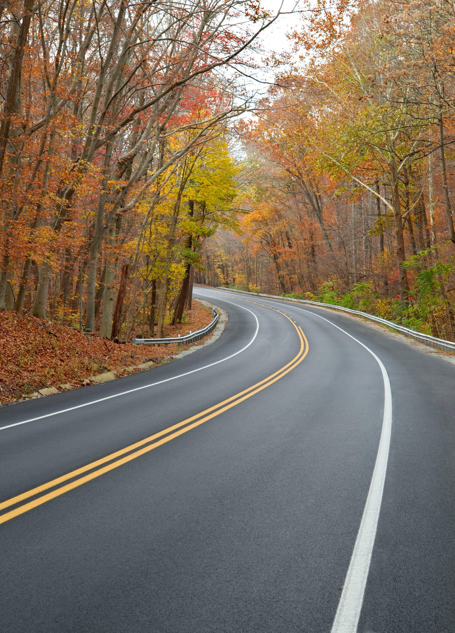 rt-1453-md-11-6-14-02